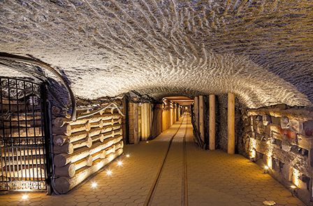 Cracovia e le miniere di sale di Wieliczka